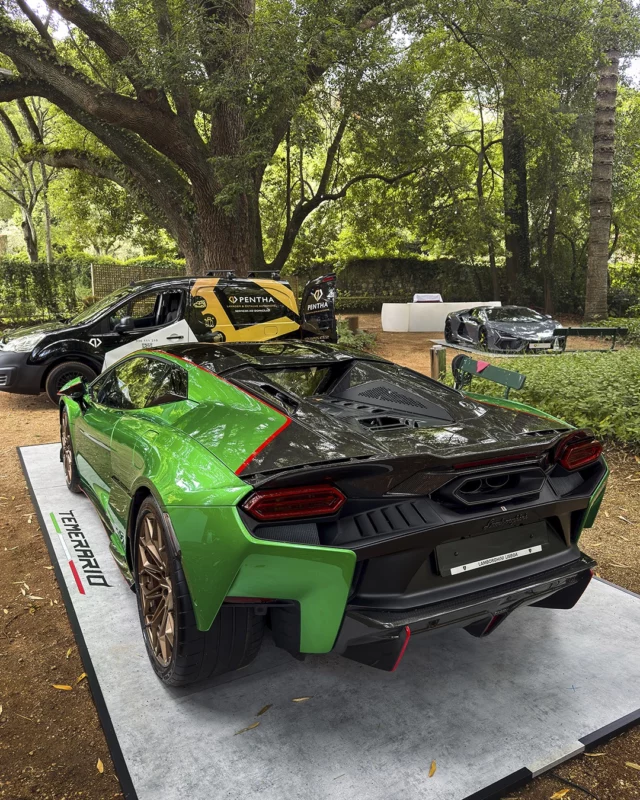 Detalhe premium num automóvel verde